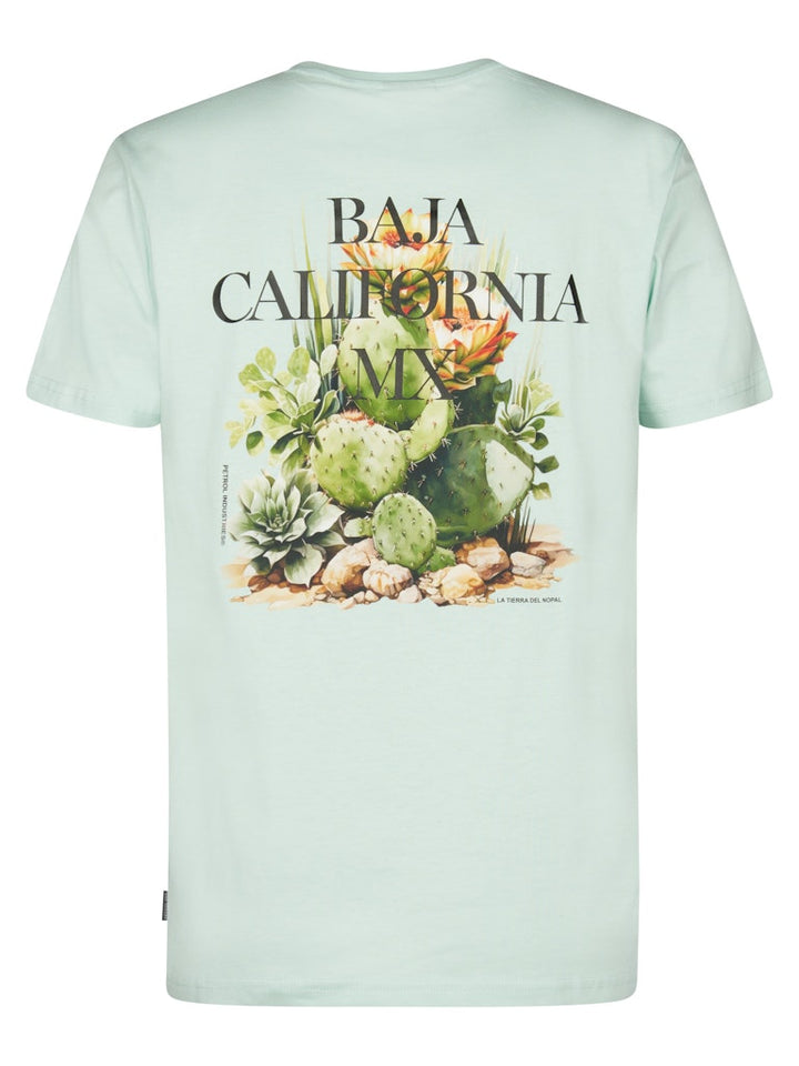Men T-shirt Ss - Mint
