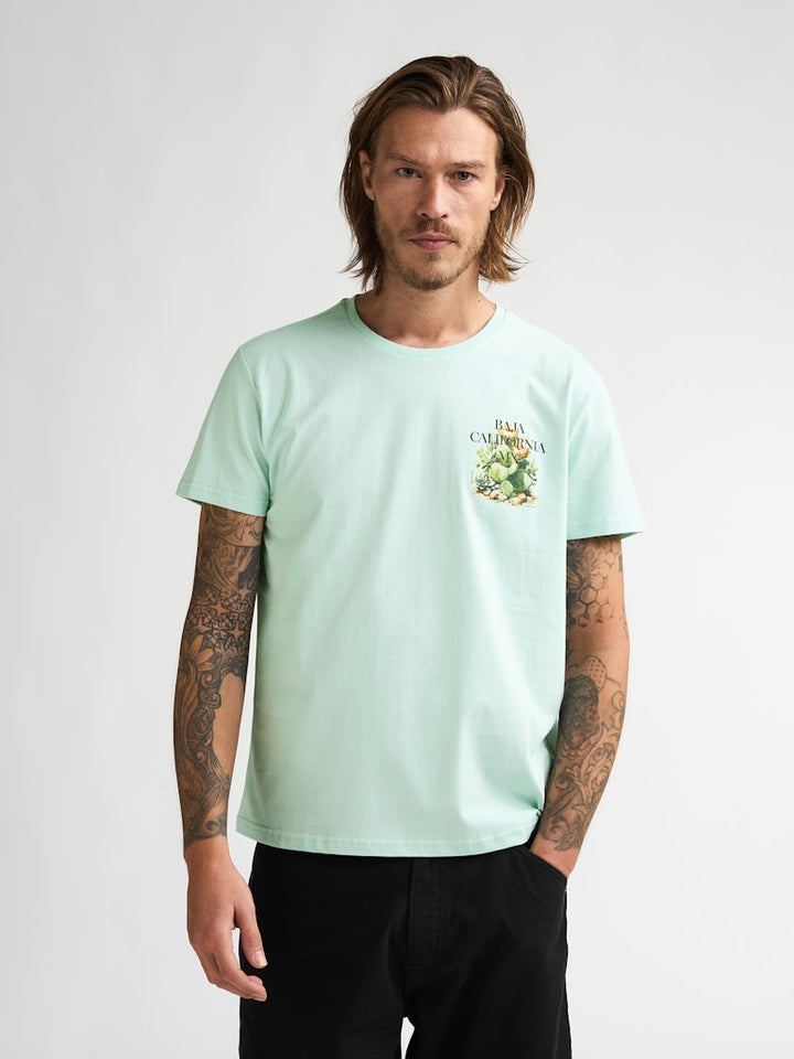 Men T-shirt Ss - Mint