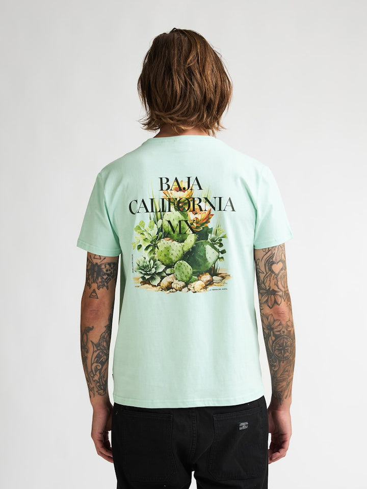 Men T-shirt Ss - Mint