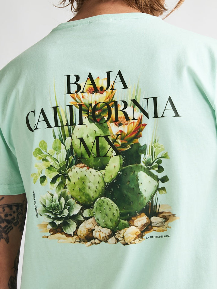 Men T-shirt Ss - Mint