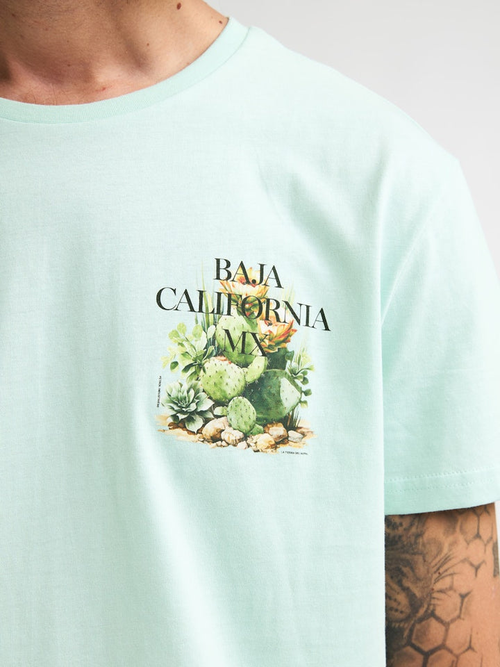 Men T-shirt Ss - Mint