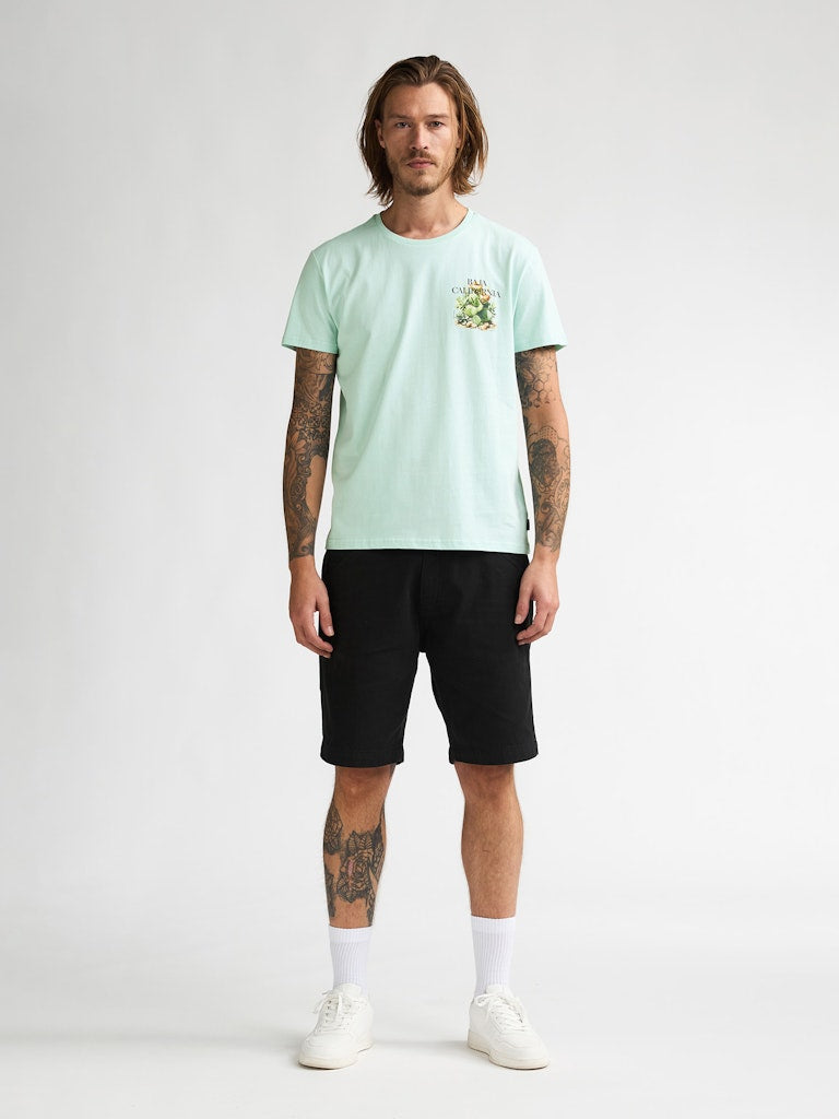 Men T-shirt Ss - Mint