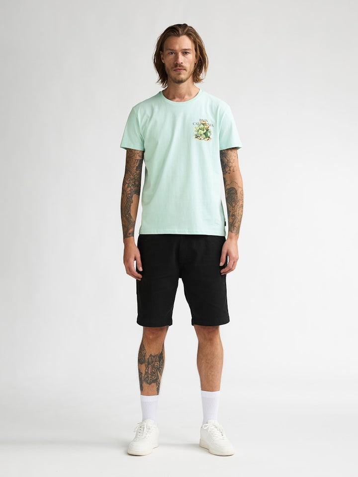 Men T-shirt Ss - Mint
