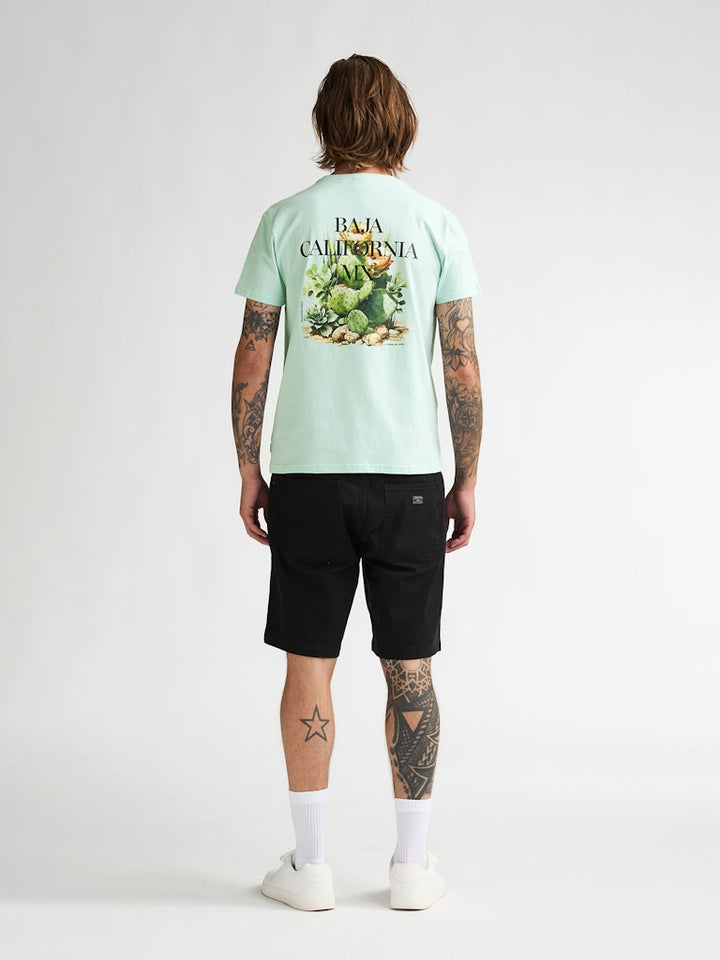 Men T-shirt Ss - Mint