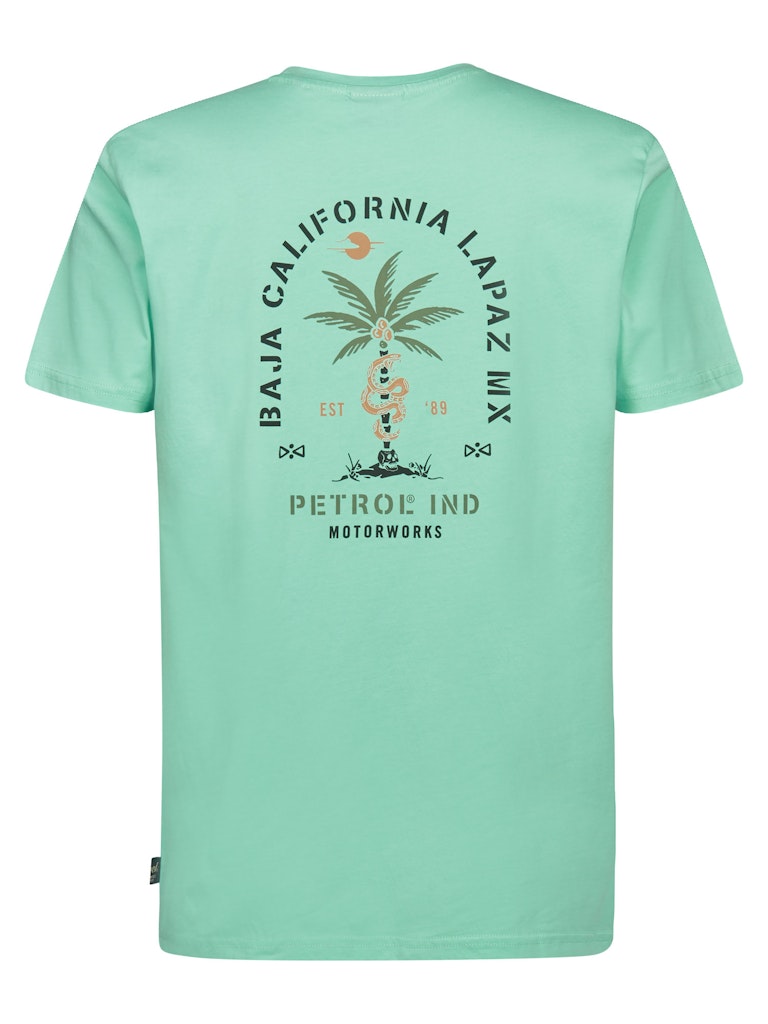 Men T-shirt Ss Classic Print - Mint
