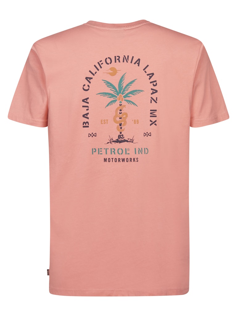 Men T-shirt Ss Classic Print - Zalm/peach