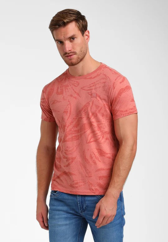 155911 - Roze Dessin