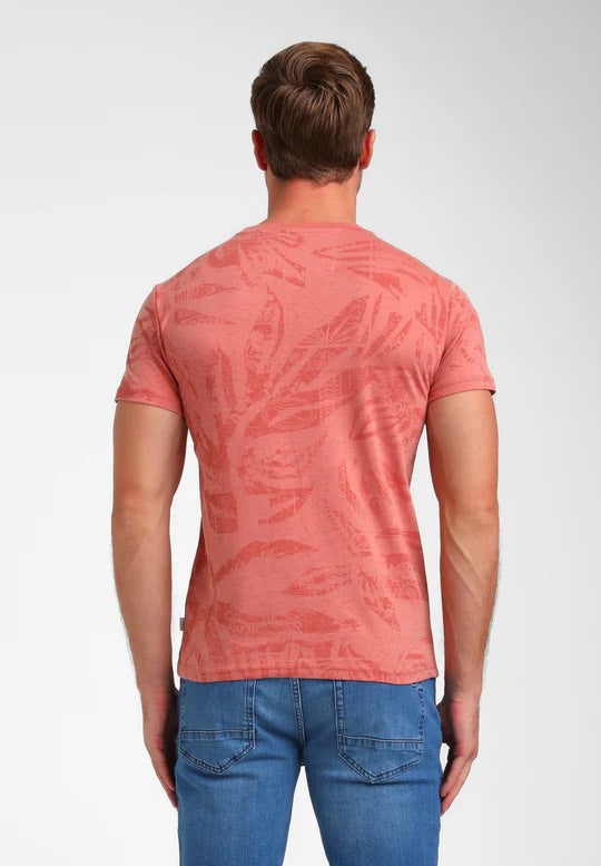 155911 - Roze Dessin