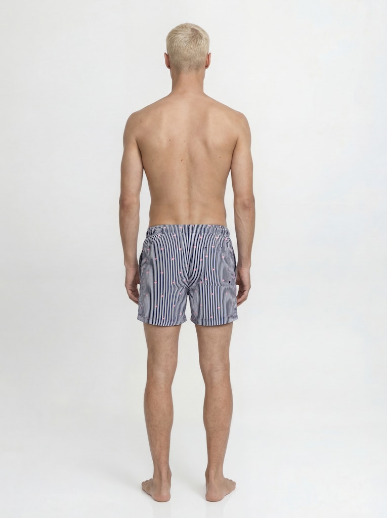Jpstmaui Breeze Mini Stripe Swim Srt Sn - Blauw Dessin