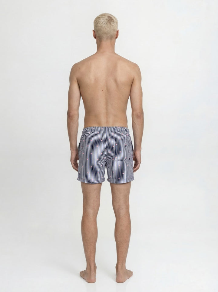 Jpstmaui Breeze Mini Stripe Swim Srt Sn - Blauw Dessin