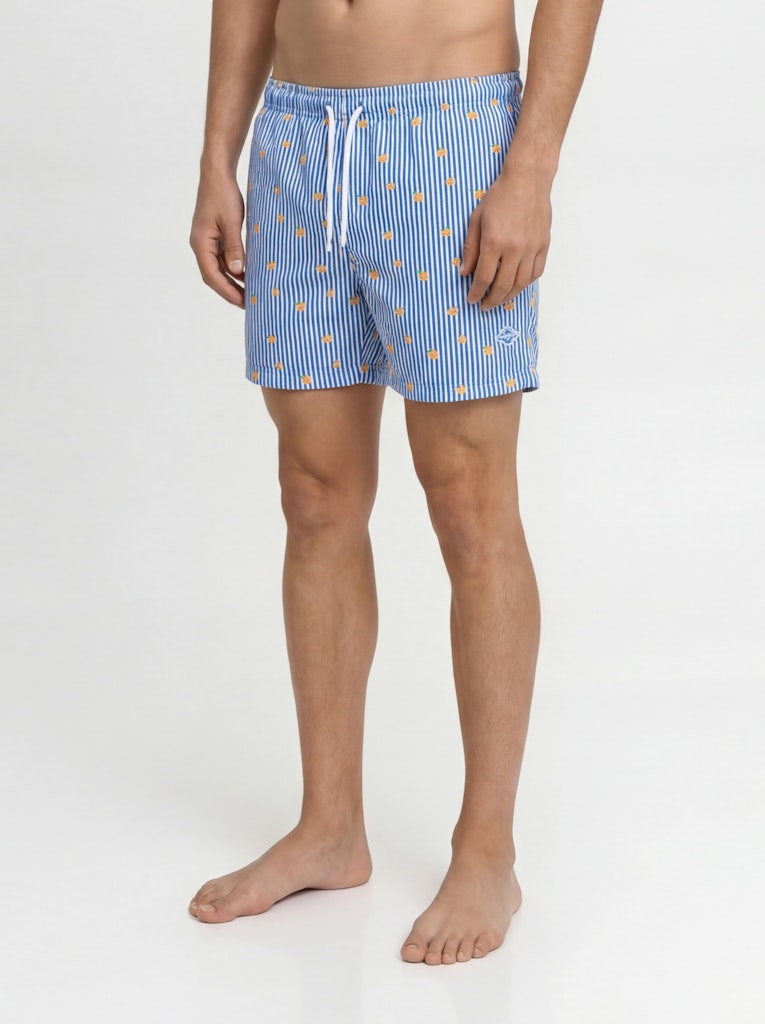 Jpstmaui Breeze Mini Stripe Swim Srt Sn - Blauw Dessin