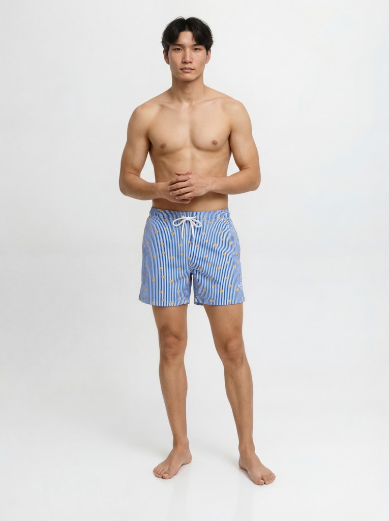 Jpstmaui Breeze Mini Stripe Swim Srt Sn - Blauw Dessin