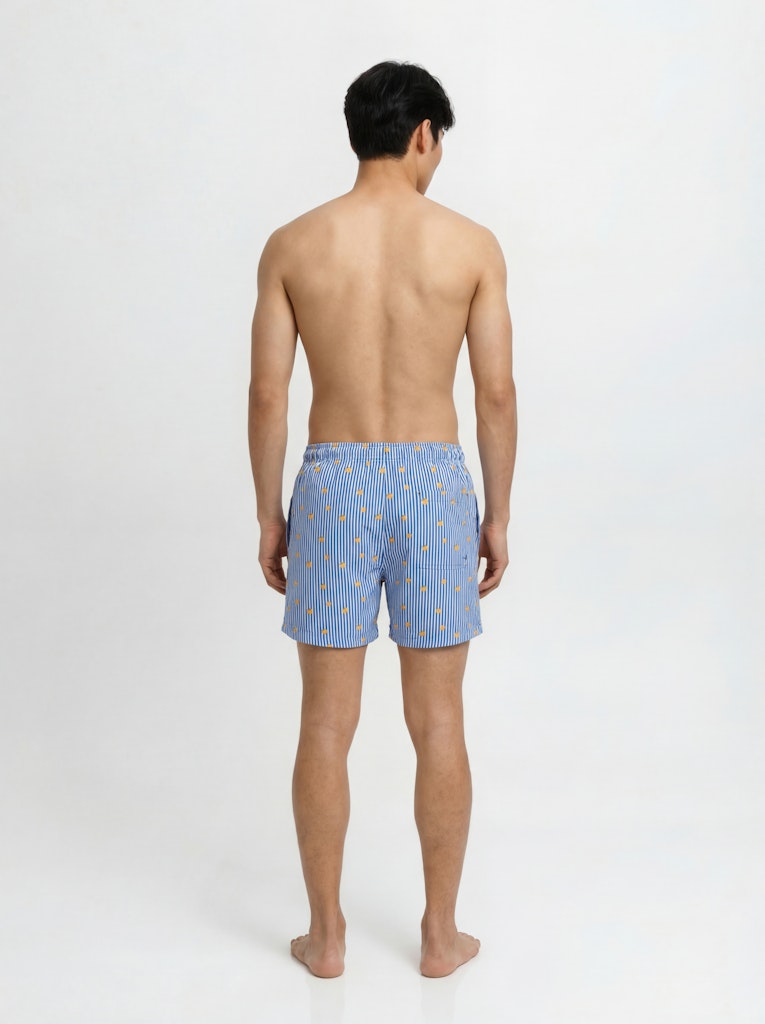 Jpstmaui Breeze Mini Stripe Swim Srt Sn - Blauw Dessin
