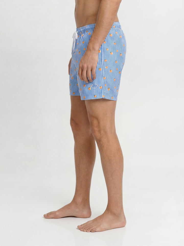 Jpstmaui Breeze Mini Stripe Swim Srt Sn - Blauw Dessin