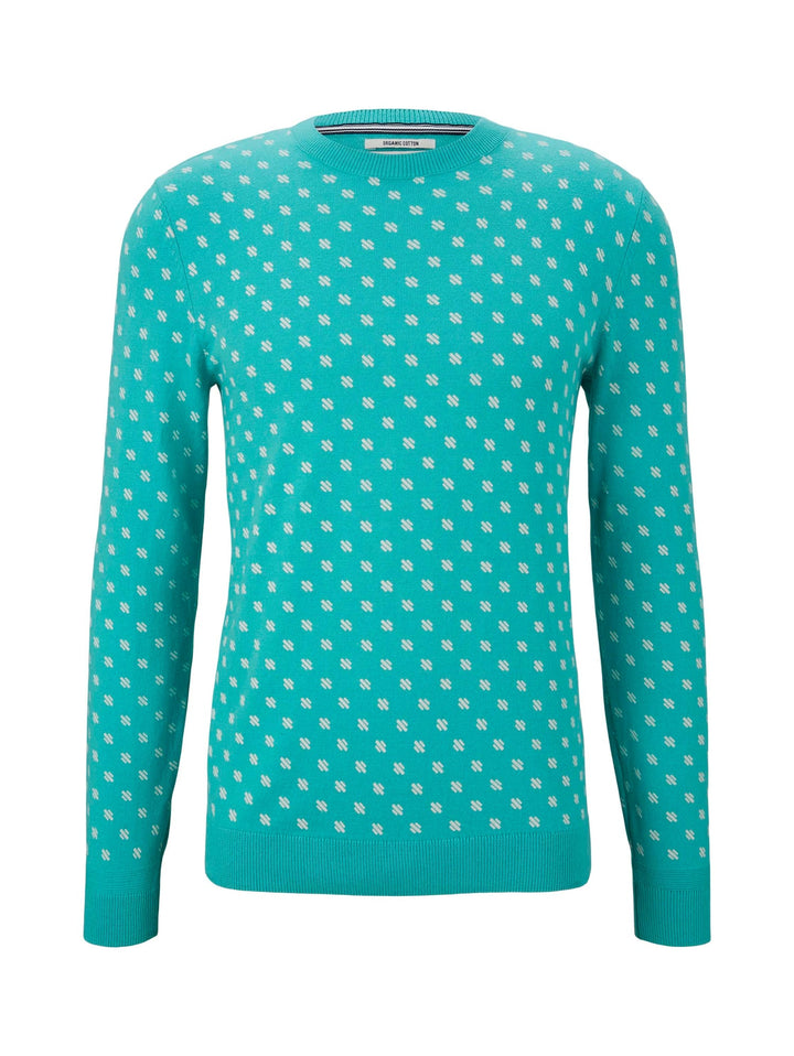 Tom Tailor printed sweater mint – heren