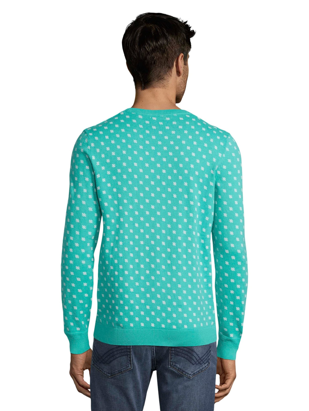 Tom Tailor printed sweater mint – heren
