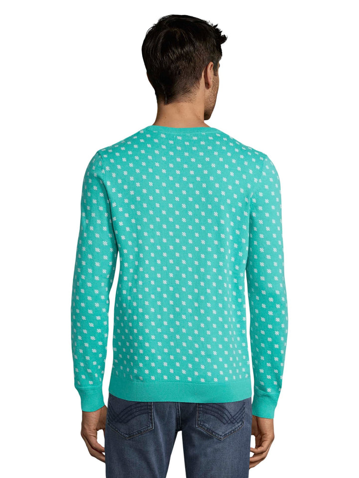 Tom Tailor printed sweater mint – heren