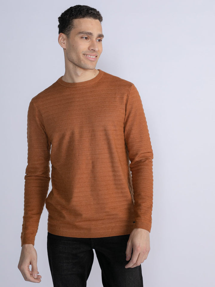 Petrol men M-3030-KWR269 trui camel – heren