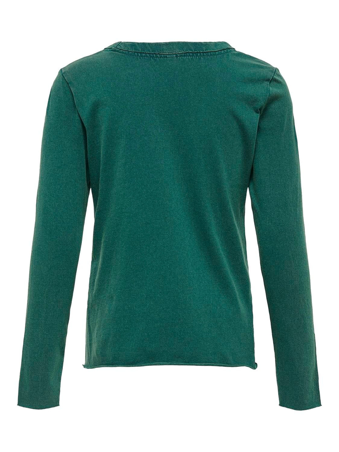 Only sweater meisjes – KONBONNIE L/S SWAN/DAZE TOP CS BOX JRS - Diversen