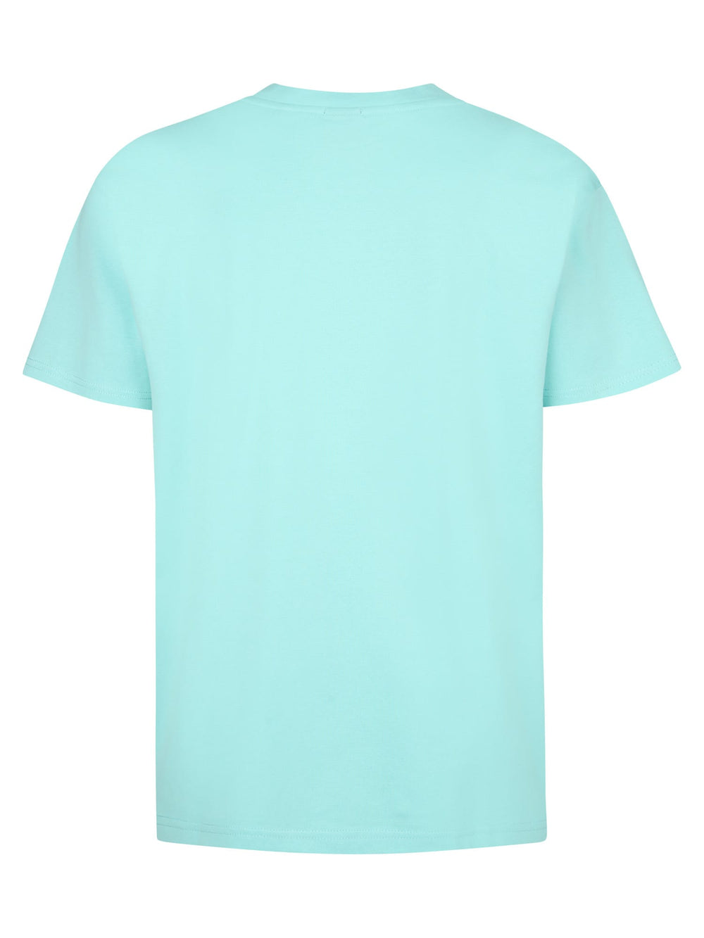 Petrol men M-1050-TSR627 t-shirt aqua – heren