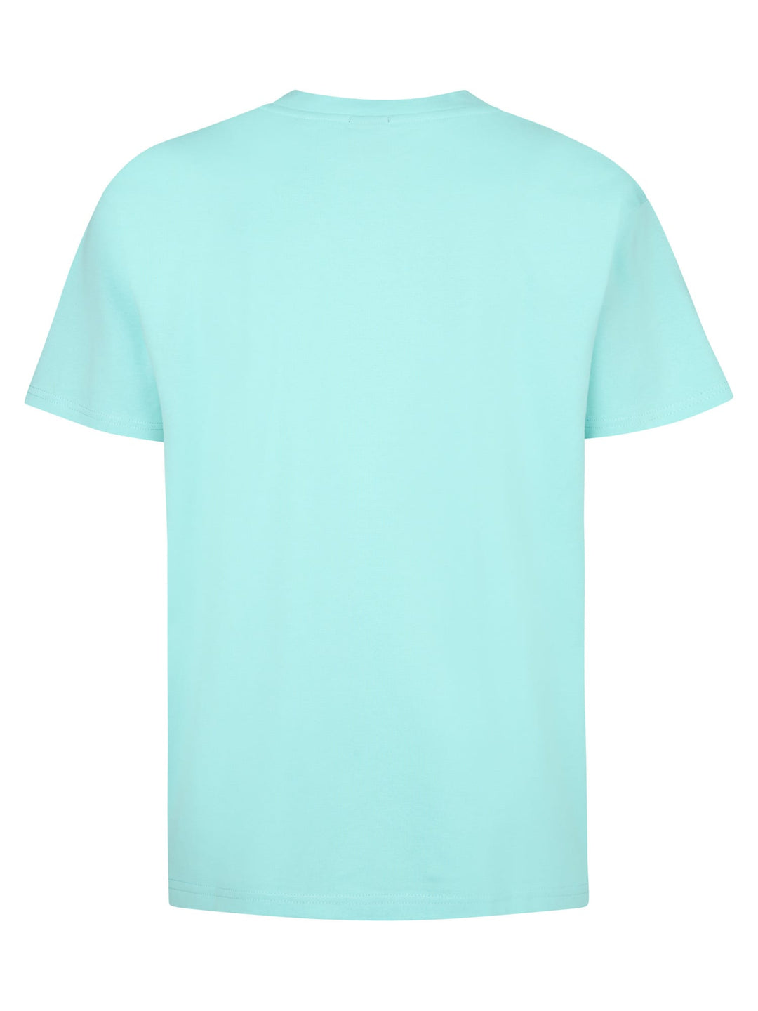 Petrol men M-1050-TSR627 t-shirt aqua – heren
