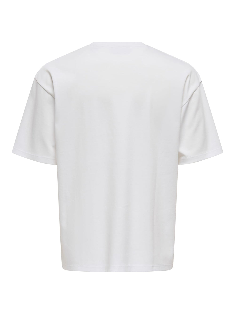 ONLY & SONS 22031940 Capian t-shirt wit – heren