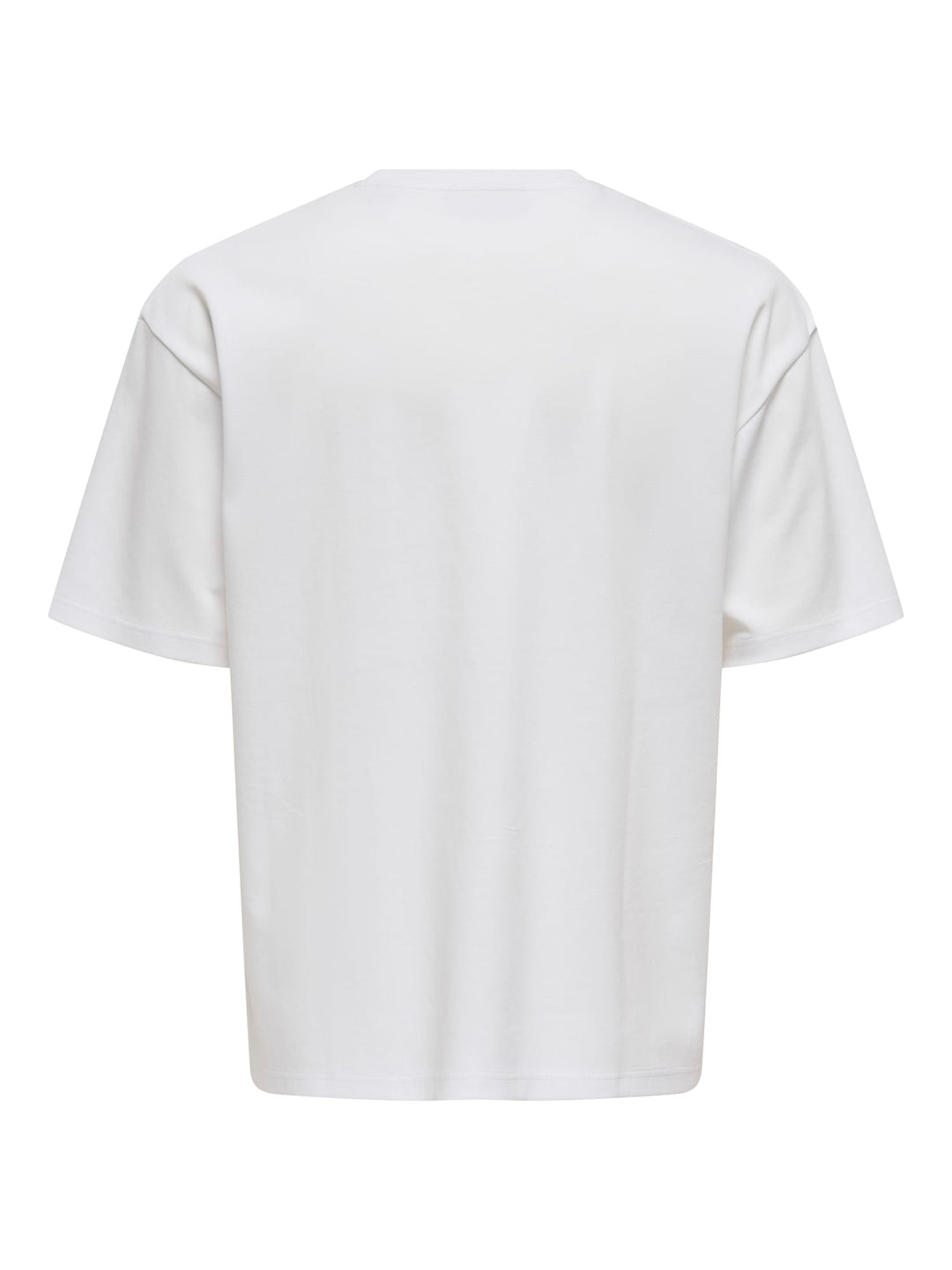 ONLY &amp; SONS 22031940 Capian t-shirt wit – heren