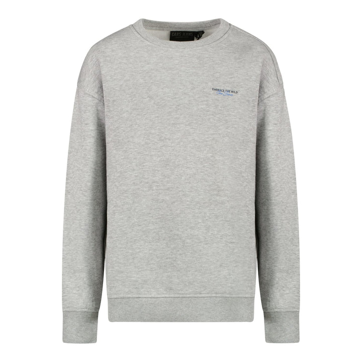Cars boys sweater grijs melee – jongens