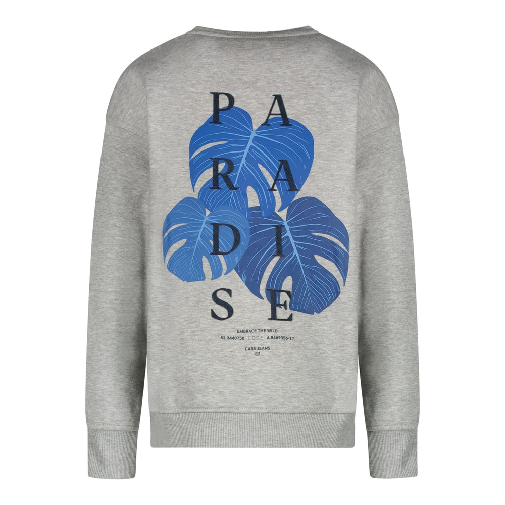 Cars boys sweater grijs melee – jongens