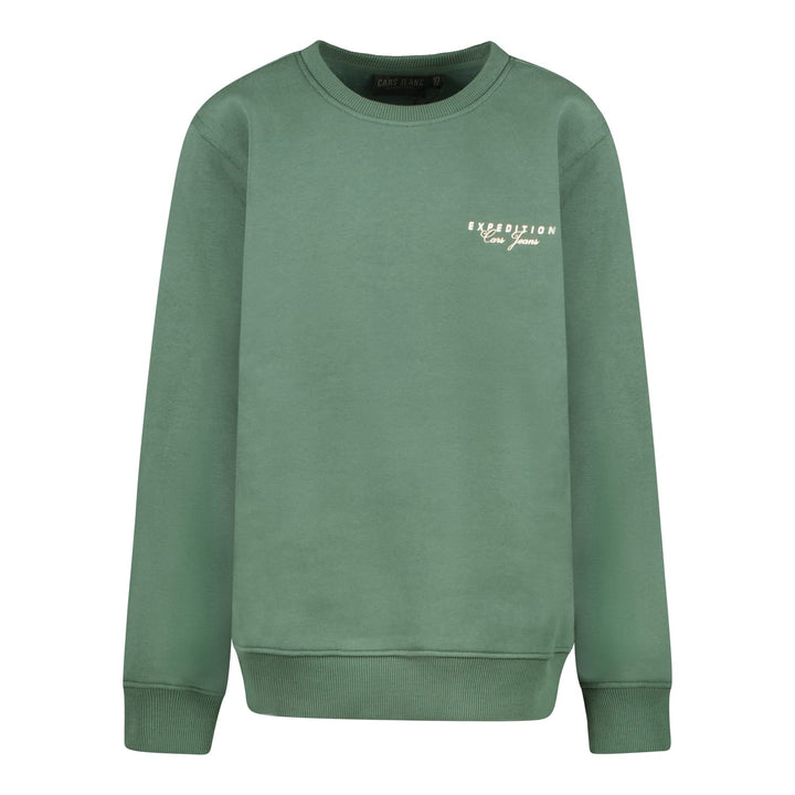Cars boys 27373 sweater jongens groen dessin