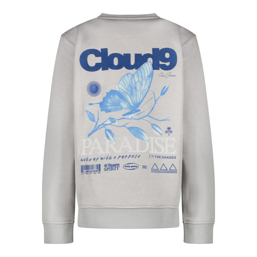 Cars boys sweater grijs melee – jongens