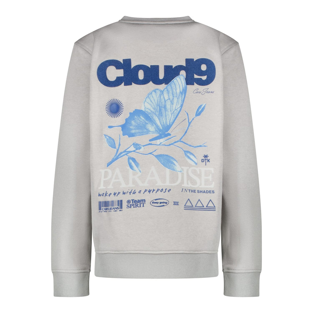 Cars boys sweater grijs melee – jongens