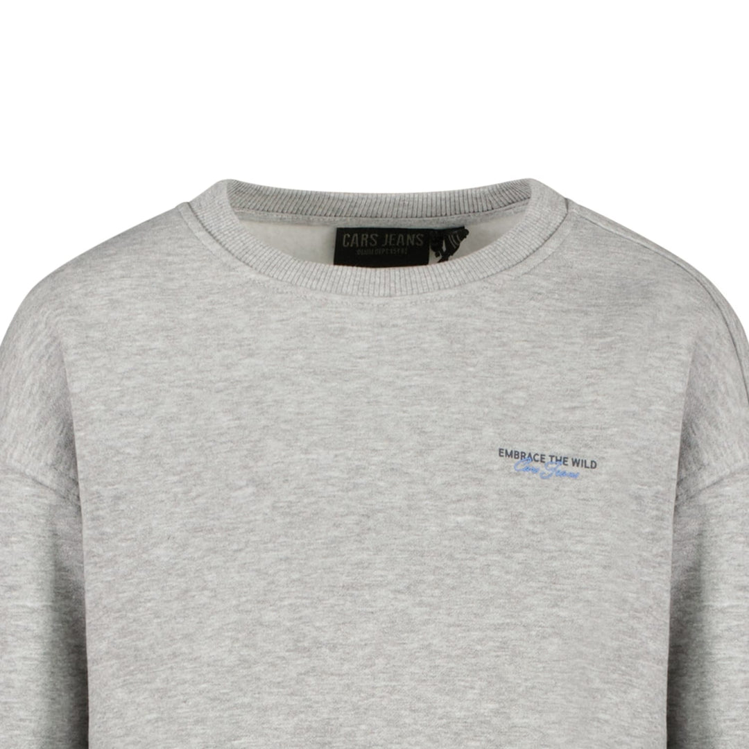 Cars boys sweater grijs melee – jongens