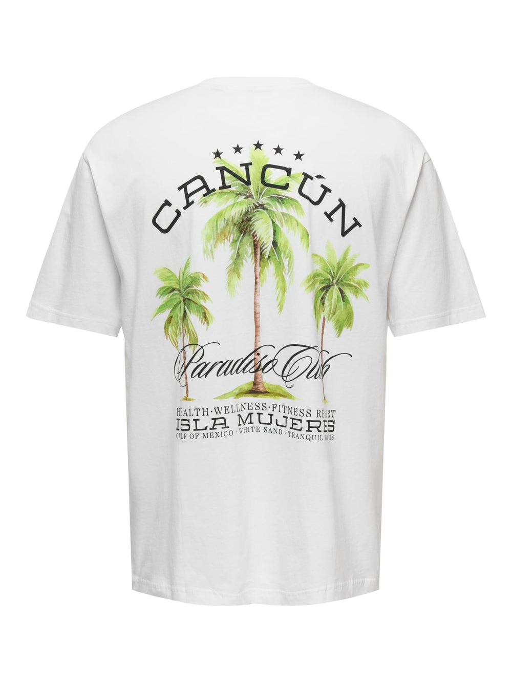 ONLY & SONS ONSKEANE RLX T-shirt off-white – heren