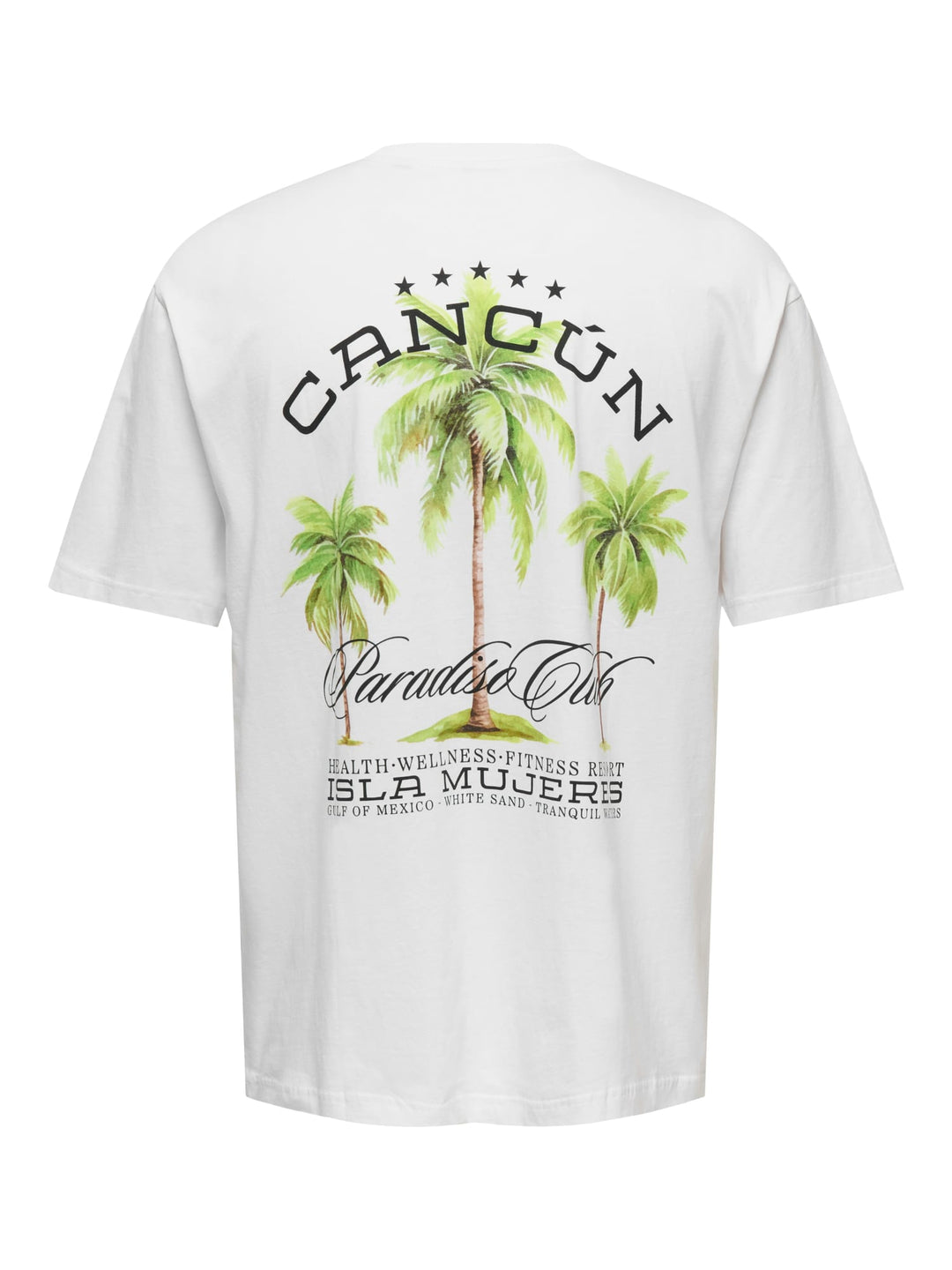 ONLY & SONS ONSKEANE RLX T-shirt off-white – heren