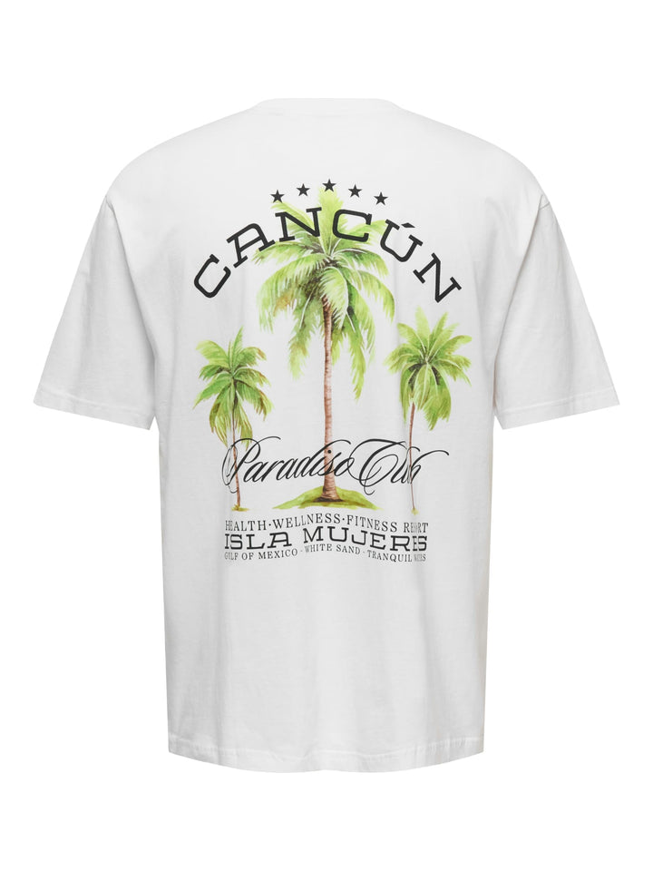 ONLY & SONS ONSKEANE RLX T-shirt off-white – heren