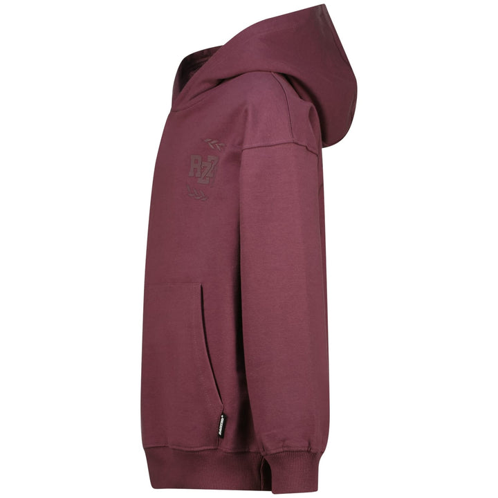 Raizzed Hoody Nai aubergine – sweater jongens