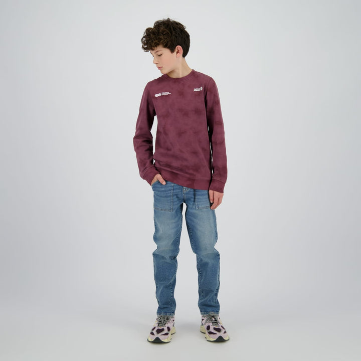 Raizzed Hoody Nalaric aubergine – jongens sweater
