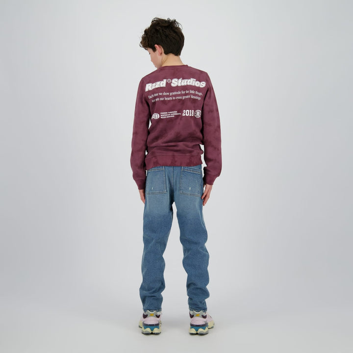 Raizzed Hoody Nalaric aubergine – jongens sweater