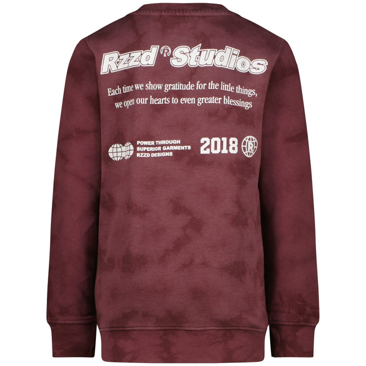 Raizzed Hoody Nalaric aubergine – jongens sweater