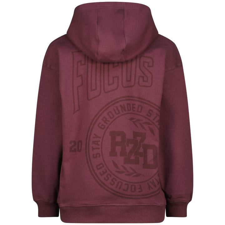 Raizzed Hoody Nai aubergine – sweater jongens