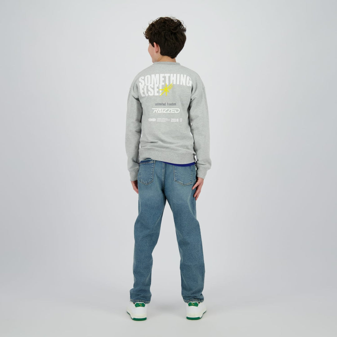 Raizzed Hoody Norwin grijs melee – sweater jongens