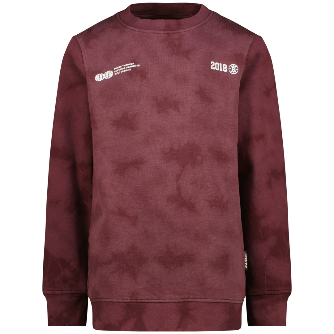 Raizzed Hoody Nalaric aubergine – jongens sweater