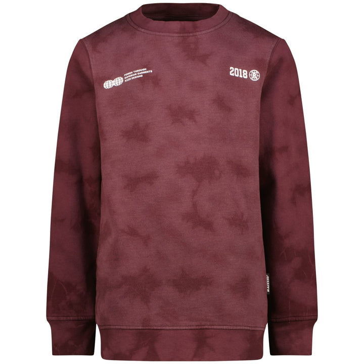 Raizzed Hoody Nalaric aubergine – jongens sweater