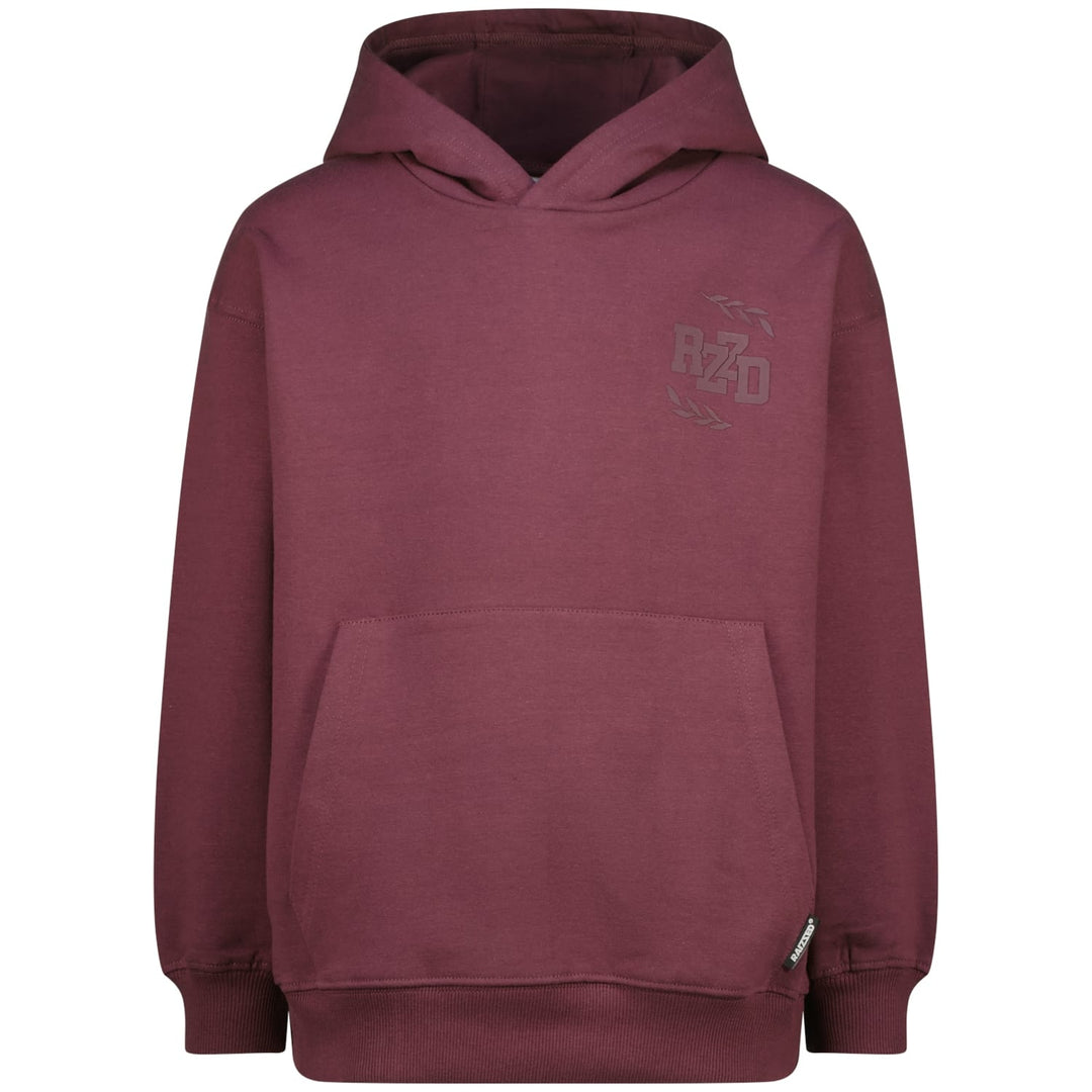 Raizzed Hoody Nai aubergine – sweater jongens