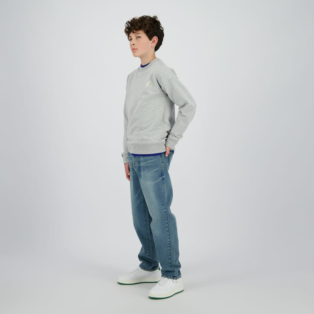 Raizzed Hoody Norwin grijs melee – sweater jongens