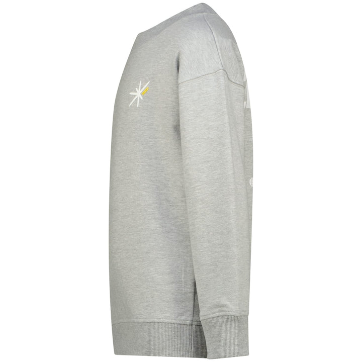 Raizzed Hoody Norwin grijs melee – sweater jongens