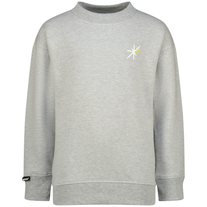 Raizzed Hoody Norwin grijs melee – sweater jongens