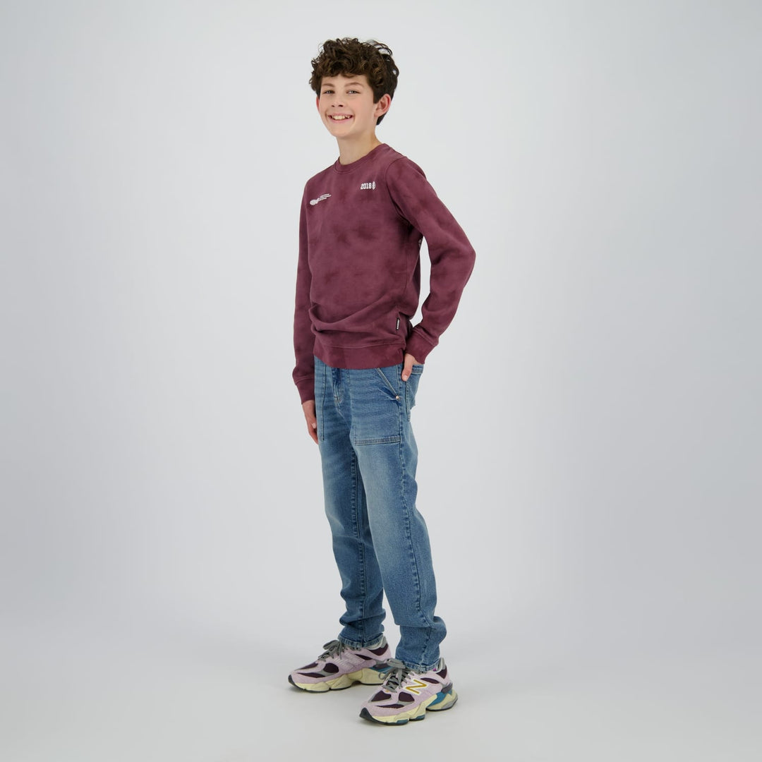 Raizzed Hoody Nalaric aubergine – jongens sweater