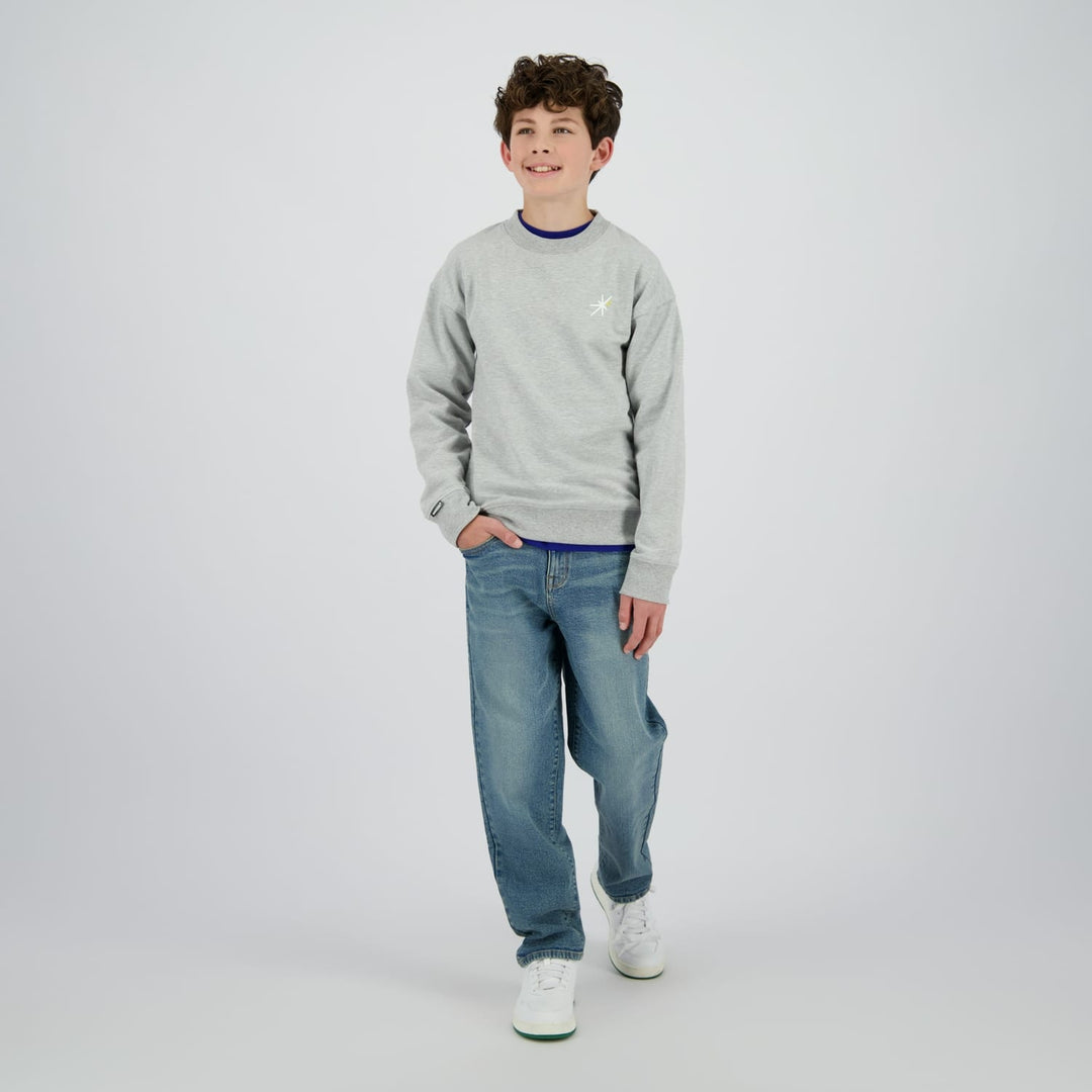 Raizzed Hoody Norwin grijs melee – sweater jongens
